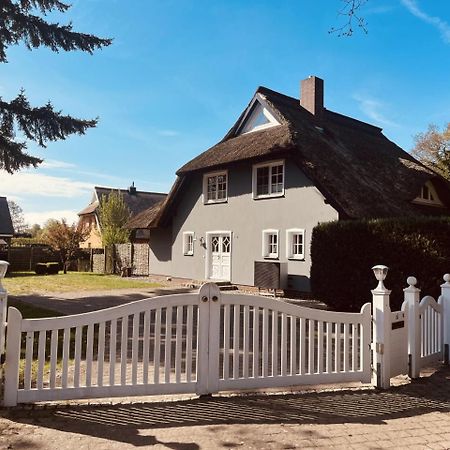 Ferienwohnung Lasse In Wieck Zewnętrze zdjęcie
